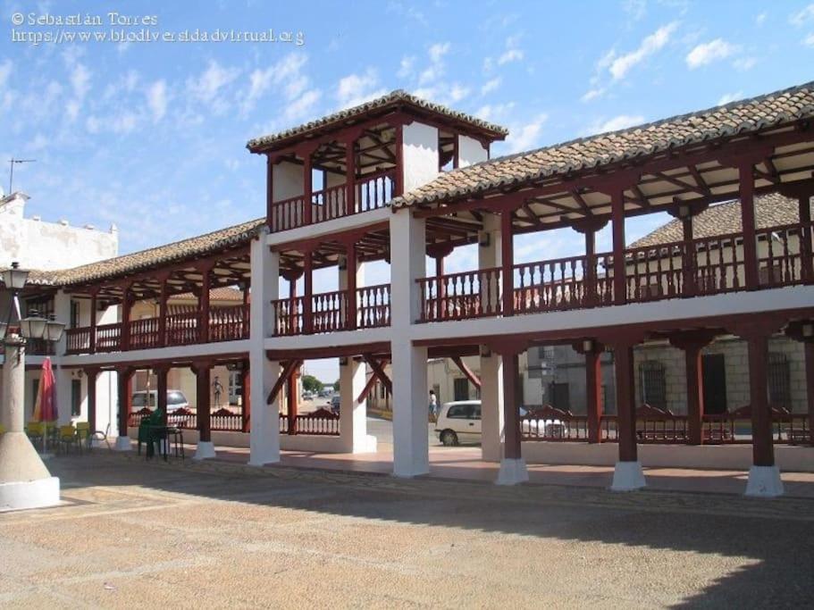 1B-Precioso Apartamento En Pleno Centro. A Estreno Алькасар-де-Сан-Хуан Екстер'єр фото